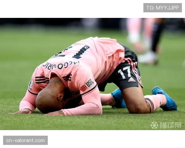 谢菲联提前四轮降级,回顾其赛季征程与三次换帅风波 谢菲联提前四轮降级,回顾其赛季征程与三次换帅风波